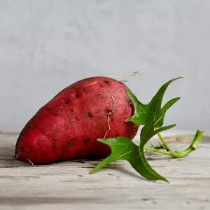 Cheat Junk Foods - Weight loss post pregnancy