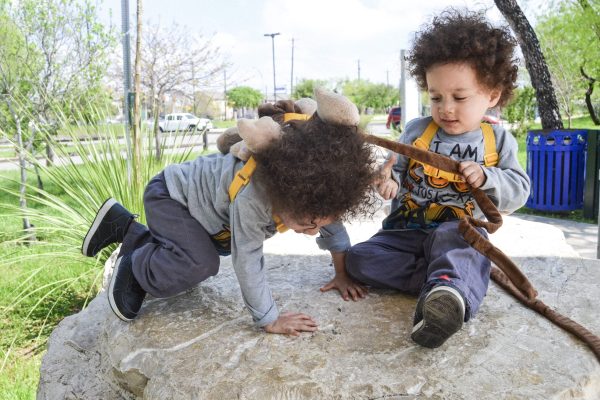 You\'d never guess that just moments before, Phoenix had shoved his brother off the rock. He fixed his mistake on his own though.