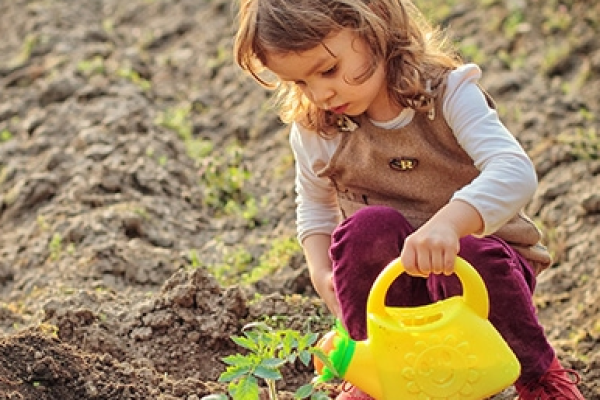 Getting the Kids to Enjoy Gardening