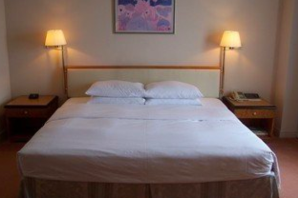 Why Bamboo Sheets are All The Rage Today