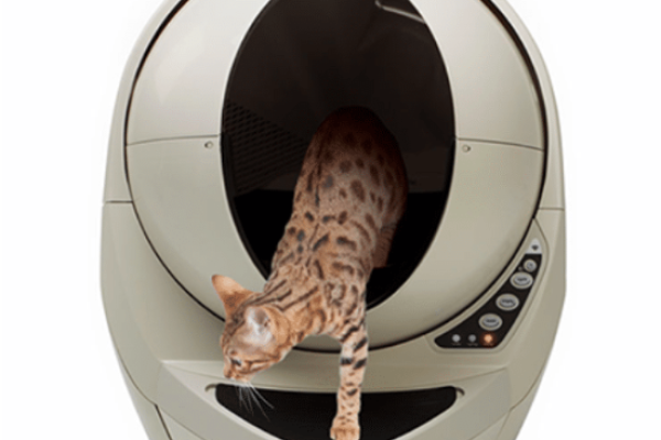 Considering a Litter Robot For Your Home