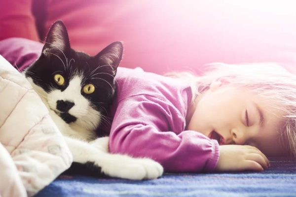 Pet with the baby - Transition Your Cat To Live With A New Baby In The House